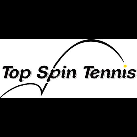 Top Spin Tennis photo