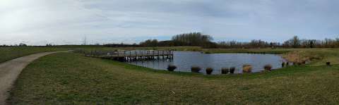 Trumpington Meadows Nature Reserve photo