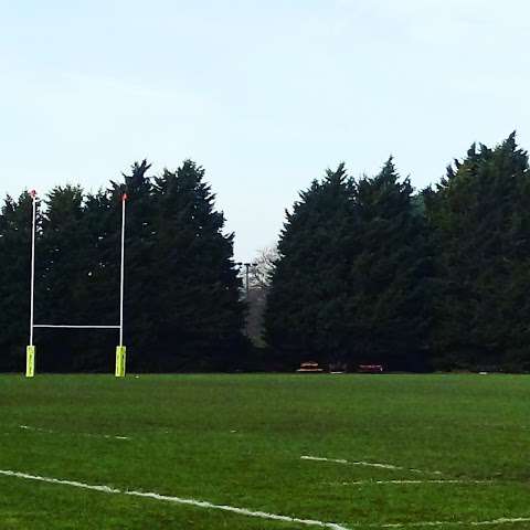 Cambridge University Rugby Union Football Club photo